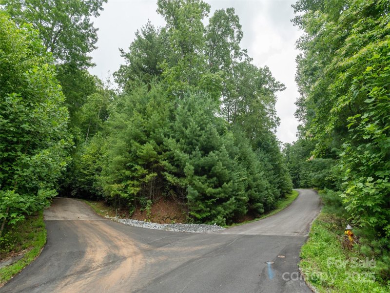 Property image 4 of 0 Willow Falls Lane in Willow Brook Falls, Hendersonville, NC 28792