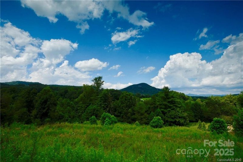 29 Bear Flower Trail