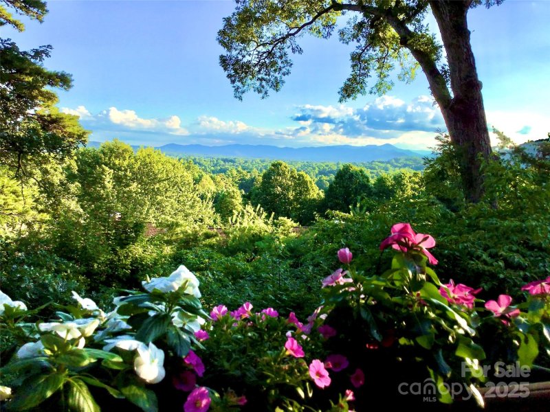 Pine Cliff Condominiums, Asheville Community