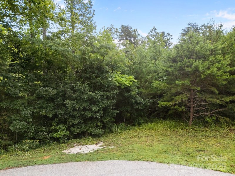 Property image 5 of 00000 Deer Jump Trail in Vista at Bills Mountain, Lake Lure, NC 28746