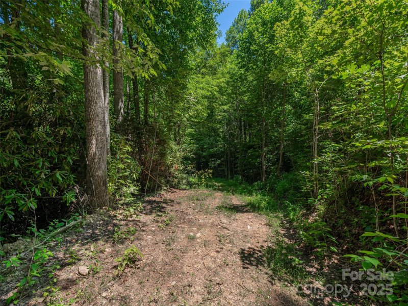 Property image 4 of Lot B10 Rockmont Road in Big Laurel Inc, Waynesville, NC 28785