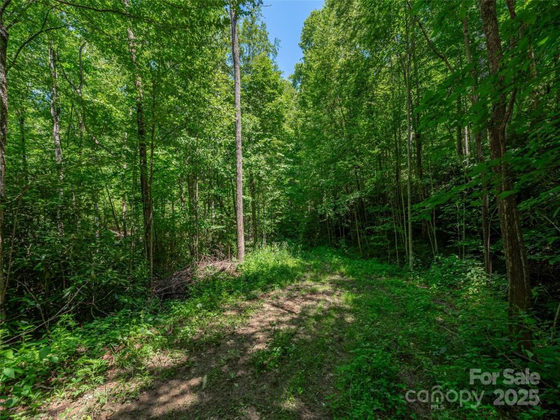 Property image 5 of Lot B10 Rockmont Road in Big Laurel Inc, Waynesville, NC 28785