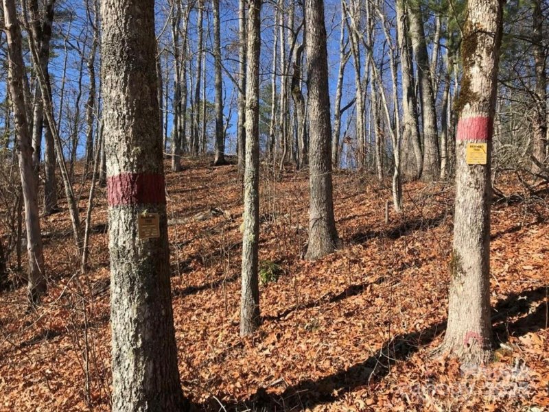 Property image 2 of 0 Saturn Way in Mystic Ridge, Topton, NC 28781