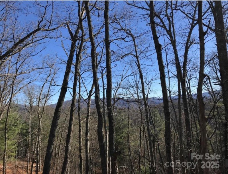 Property image 3 of 0 Saturn Way in Mystic Ridge, Topton, NC 28781