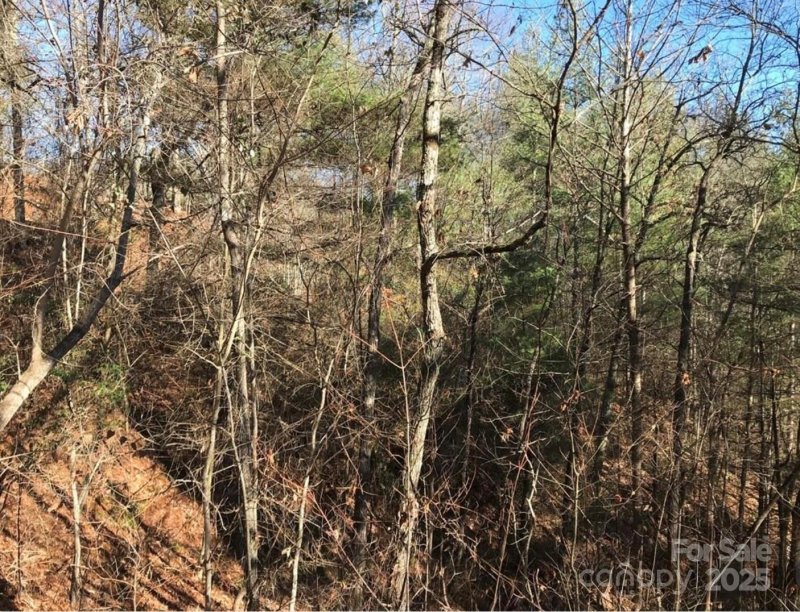 Property image 4 of 0 Saturn Way in Mystic Ridge, Topton, NC 28781