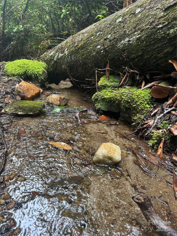 Property image 4 at 110 Sourwood Court, Sapphire, NC 28774