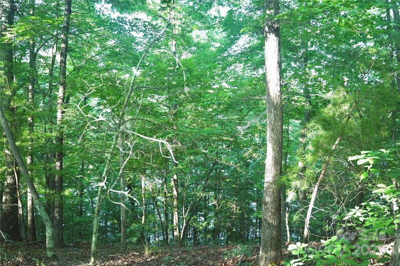 Property image 3 of 0 Parkway North None in Lake Adger, Mill Spring, NC 28756