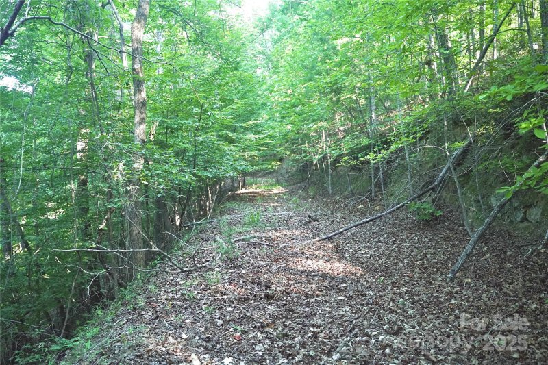 Property image 4 of 0 Parkway North None in Lake Adger, Mill Spring, NC 28756