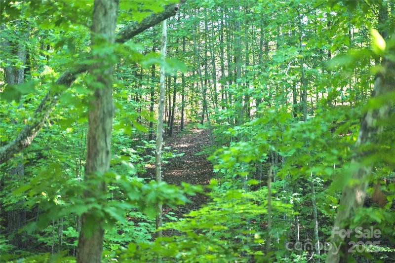 Property image 5 of 0 Parkway North None in Lake Adger, Mill Spring, NC 28756