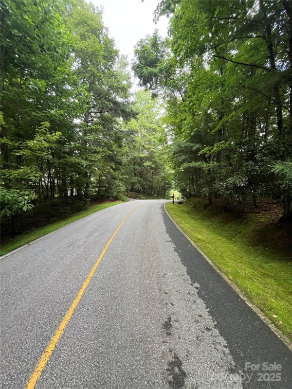 Property image 2 of 000 Greenleaf Drive in Kenmure, Flat Rock, NC 28731