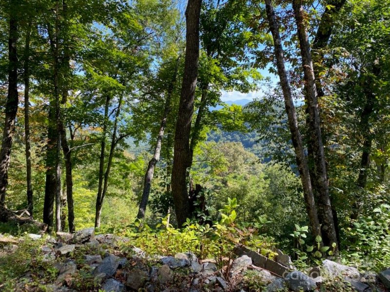 Property image 2 of Lot E2 Unula Loop in Smoky Mountain Retreat at Eagles Nest, Maggie Valley, NC 28751