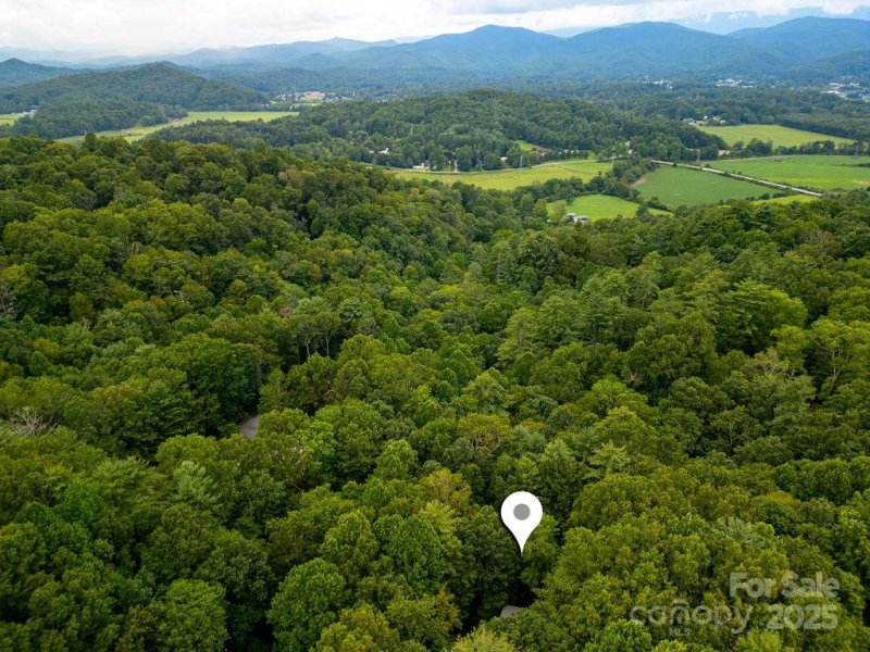Property image 3 of 412 Timberlane Drive in Timberlane, Pisgah Forest, NC 28768