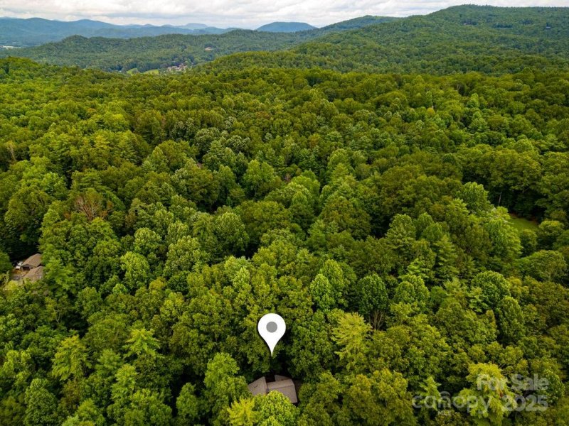 Property image 4 of 412 Timberlane Drive in Timberlane, Pisgah Forest, NC 28768