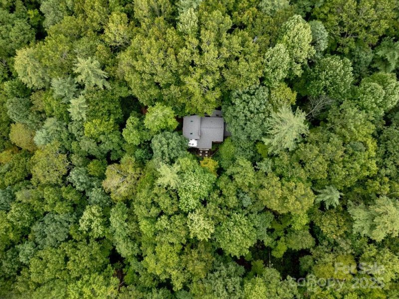 Property image 5 of 412 Timberlane Drive in Timberlane, Pisgah Forest, NC 28768