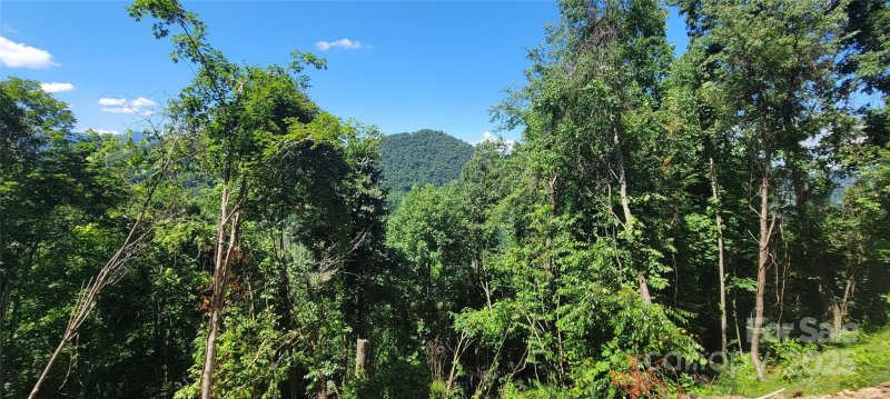 Property image 4 of 34 Destination Drive in Linson Ridge, Waynesville, NC 28786