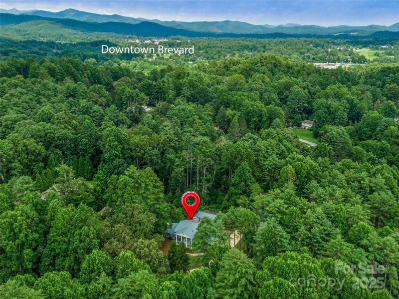 Property image 4 at 399 Evergreen Street, Brevard, NC 28712