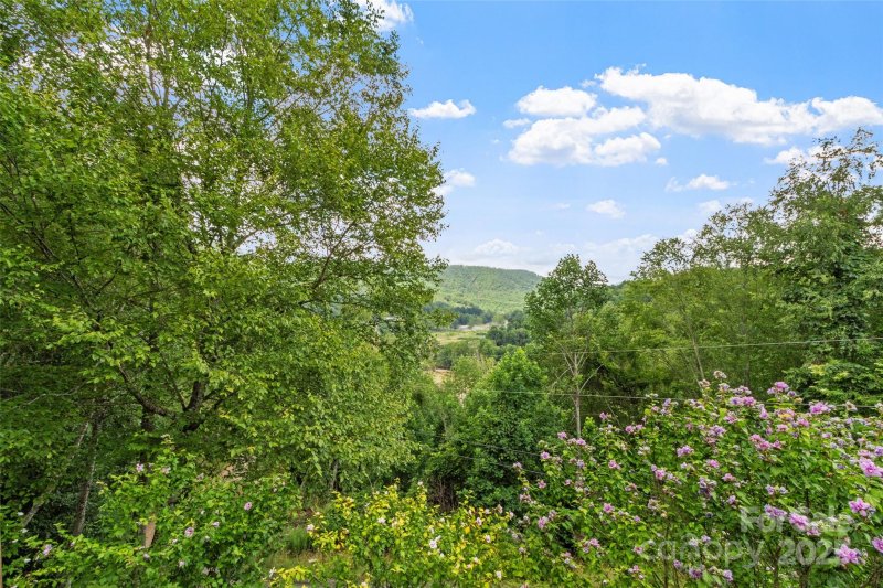 Property image 3 at 272 Appaloosa Trail, Burnsville, NC 28714