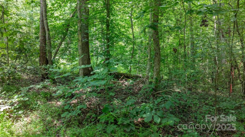 Property image 4 at 0 Rolling Road, Lincolnton, NC 28092