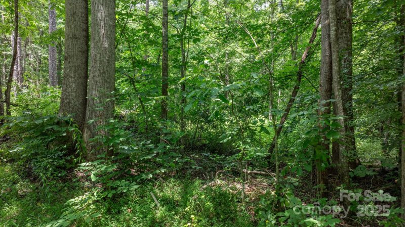 Property image 5 at 0 Rolling Road, Lincolnton, NC 28092