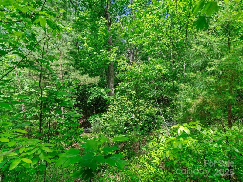 Property image 5 of 99999 Millbrae Loop in Carriage Park, Hendersonville, NC 28791