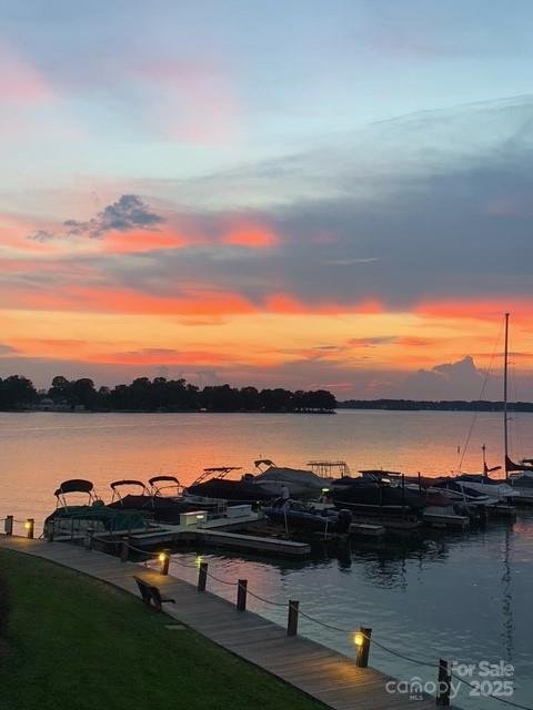 Property image 3 at 817 Southwest Drive, Davidson, NC 28036