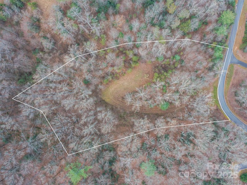 Property image 2 of 25 Autumn Shade Court in The Cliffs at Walnut Cove, Arden, NC 28704