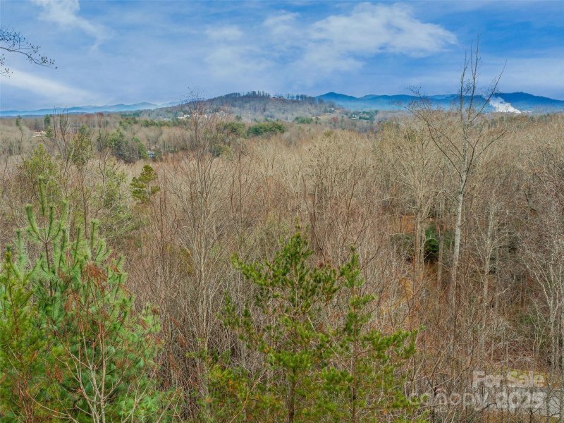 Property image 3 of 25 Autumn Shade Court in The Cliffs at Walnut Cove, Arden, NC 28704