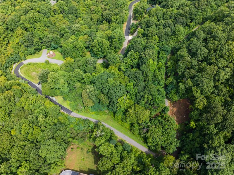 Property image 4 of 99999 Arborcrest Way in High Hickory, Swannanoa, NC 28778