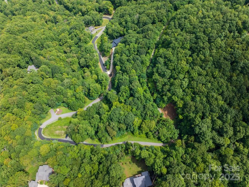 Property image 5 of 99999 Arborcrest Way in High Hickory, Swannanoa, NC 28778