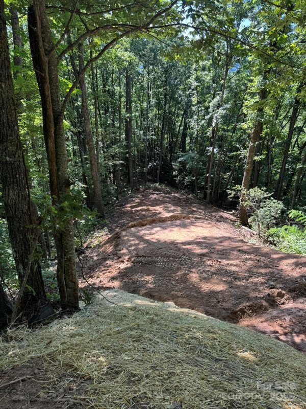 Property image 2 of 97 Hosta Drive in Cane Creek Ridge, Sylva, NC 28779