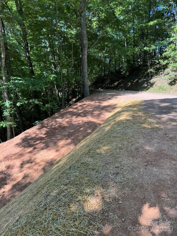 Property image 3 of 97 Hosta Drive in Cane Creek Ridge, Sylva, NC 28779