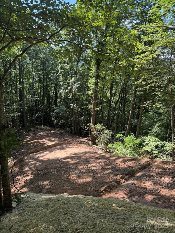 Property image 4 of 97 Hosta Drive in Cane Creek Ridge, Sylva, NC 28779