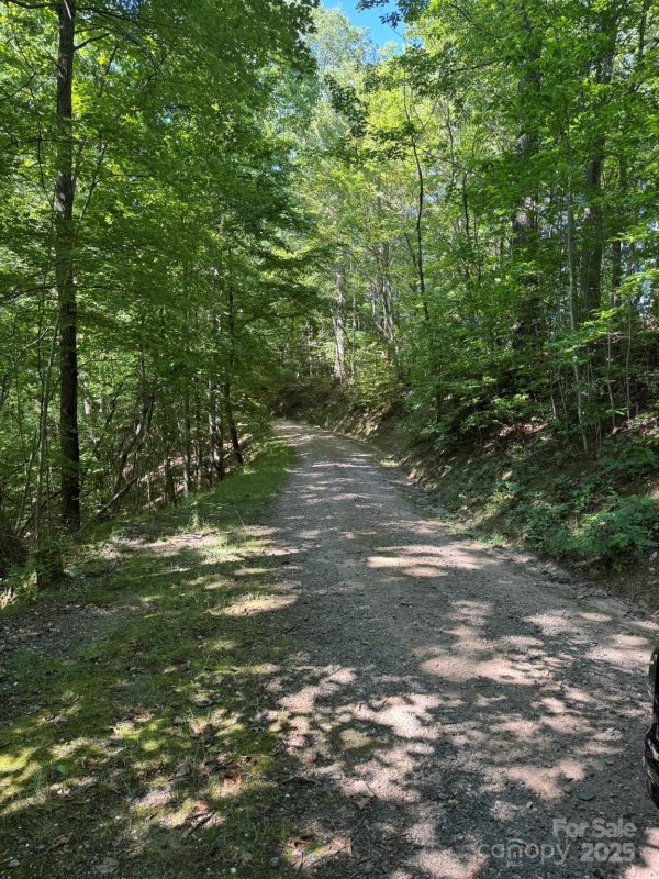 Property image 5 of 97 Hosta Drive in Cane Creek Ridge, Sylva, NC 28779