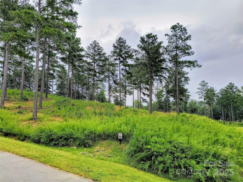 Property image 5 at 2976 Jumping Run, Connelly Springs, NC 28612