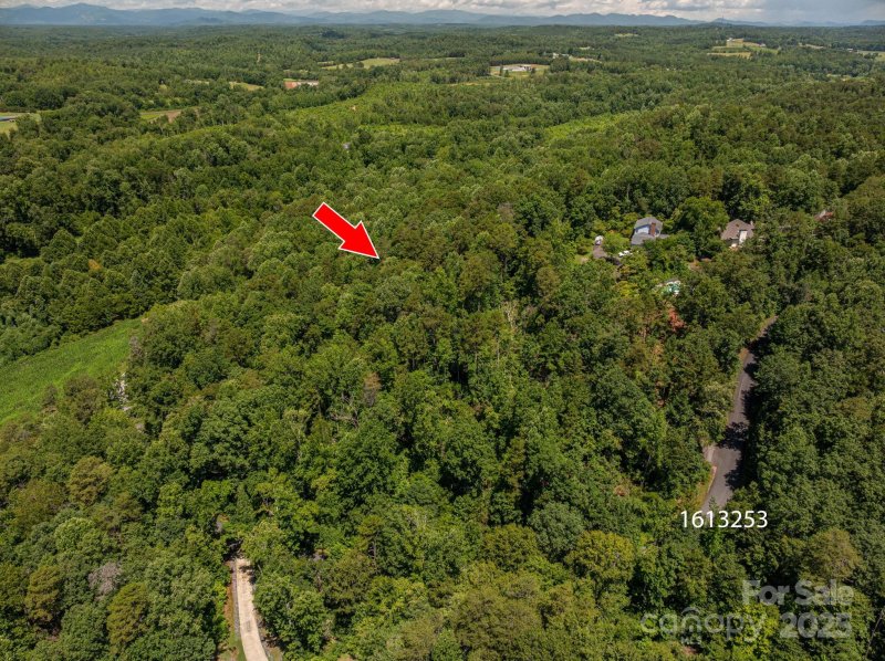 Property image 5 of Lot 165 Plantation Drive in Cleghorn Plantation, Rutherfordton, NC 28139