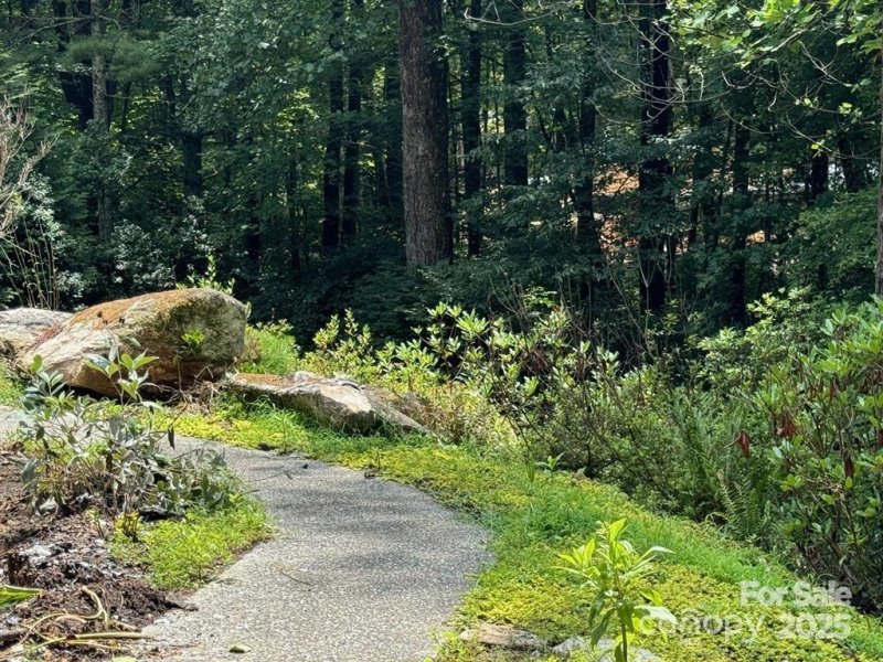 Property image 4 of 105 Maple Hill Drive in Kenmure, Flat Rock, NC 28731