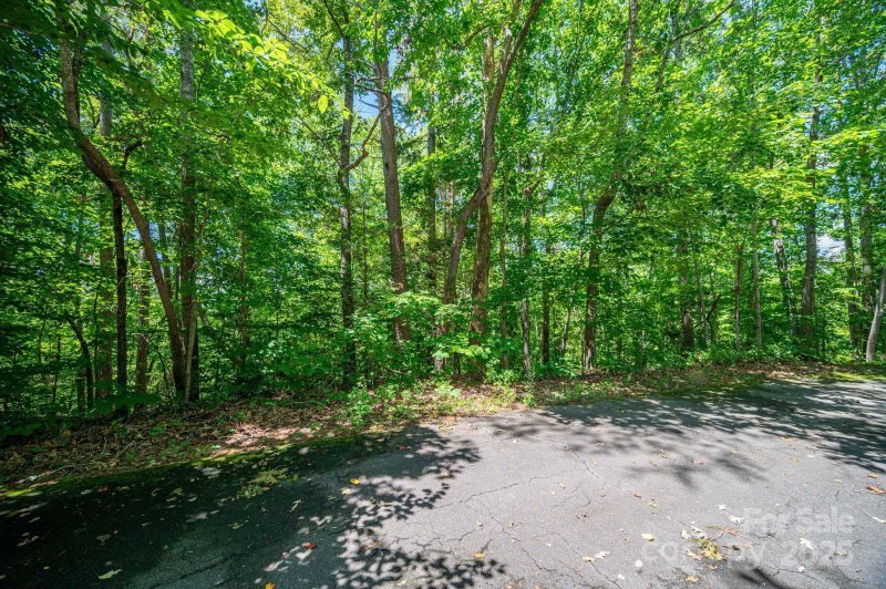 Property image 5 of Lot 166 Plantation Drive in Cleghorn Plantation, Rutherfordton, NC 28139