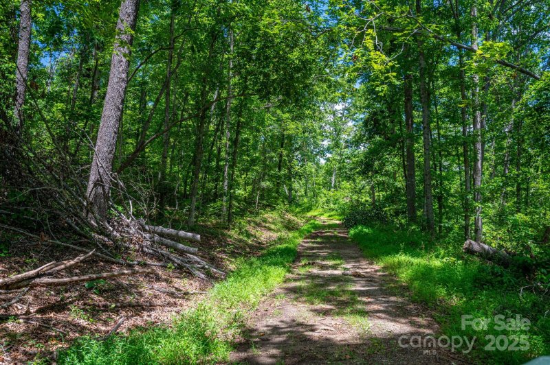 Property image 2 of Lot 210 Plantation Drive in Cleghorn Plantation, Rutherfordton, NC 28139