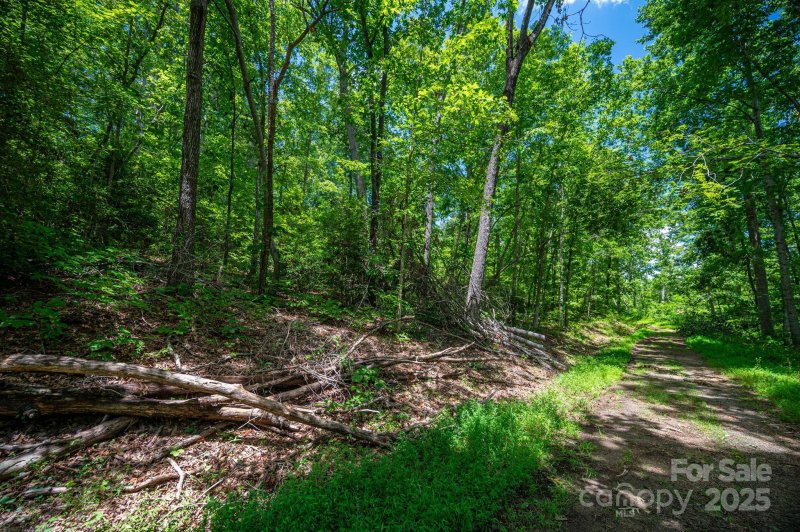 Property image 5 of Lot 210 Plantation Drive in Cleghorn Plantation, Rutherfordton, NC 28139
