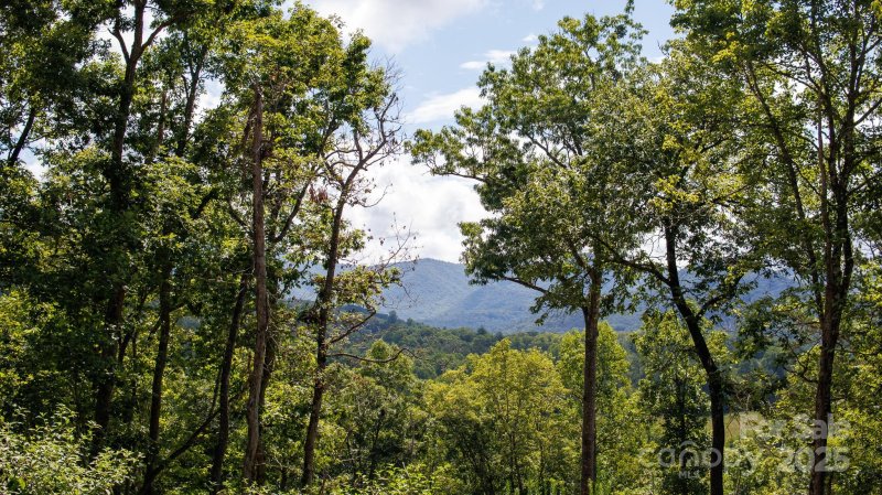 Tiny Mountain Estates, Franklin Community