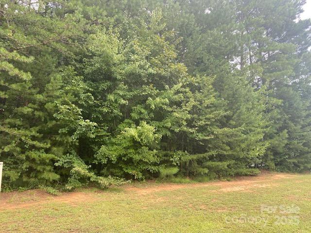 Property image 2 of 241 Ashmore Circle in Falls Cove, Troutman, NC 28166