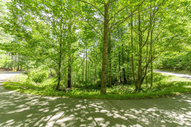 Property image 4 of 9999 River Edge Drive in Rivers Edge, Burnsville, NC 28714