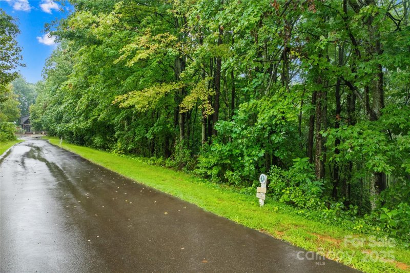 Property image 5 of 262 Feather Falls Trail in Catawba Falls Preserve, Black Mountain, NC 28762