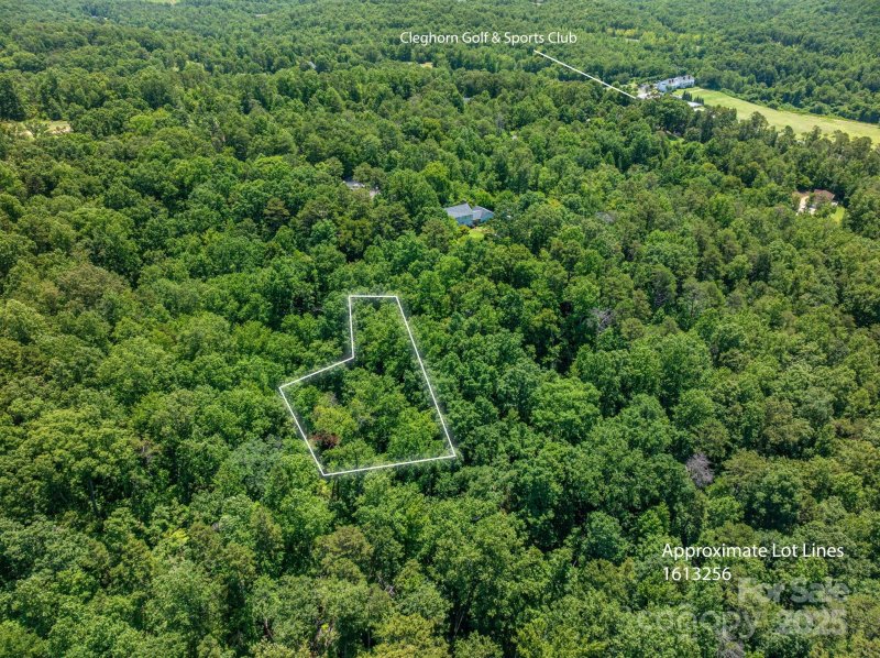 Property image 3 of Lot 168 Plantation Drive in Cleghorn Plantation, Rutherfordton, NC 28139