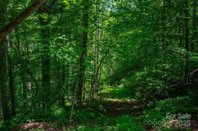 Property image 5 of Lot 168 Plantation Drive in Cleghorn Plantation, Rutherfordton, NC 28139