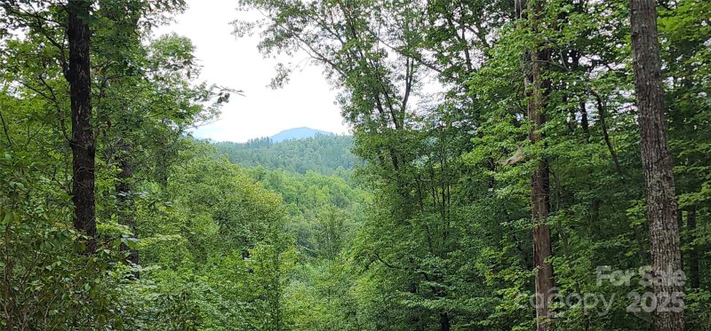 Property image 3 of Lot 3 S Cross Creek Trail in Mountain Laurel Estates, Mill Spring, NC 28756