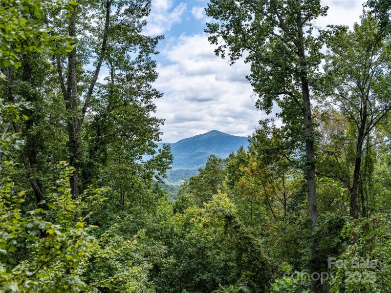 Property image 2 at 110 Weeping Cherry Forest Road, Fairview, NC 28730