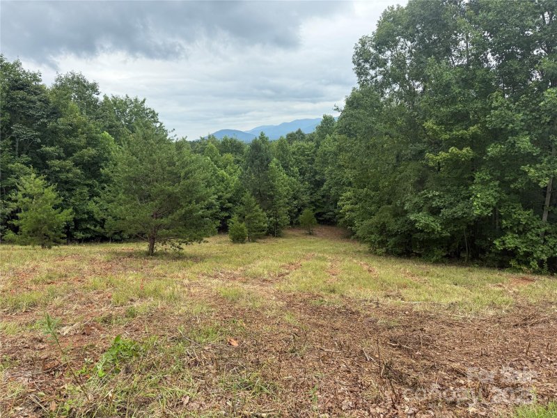 Property image 5 of 166 Coal Pit Mountain Drive in Grandview Peaks, Nebo, NC 28761