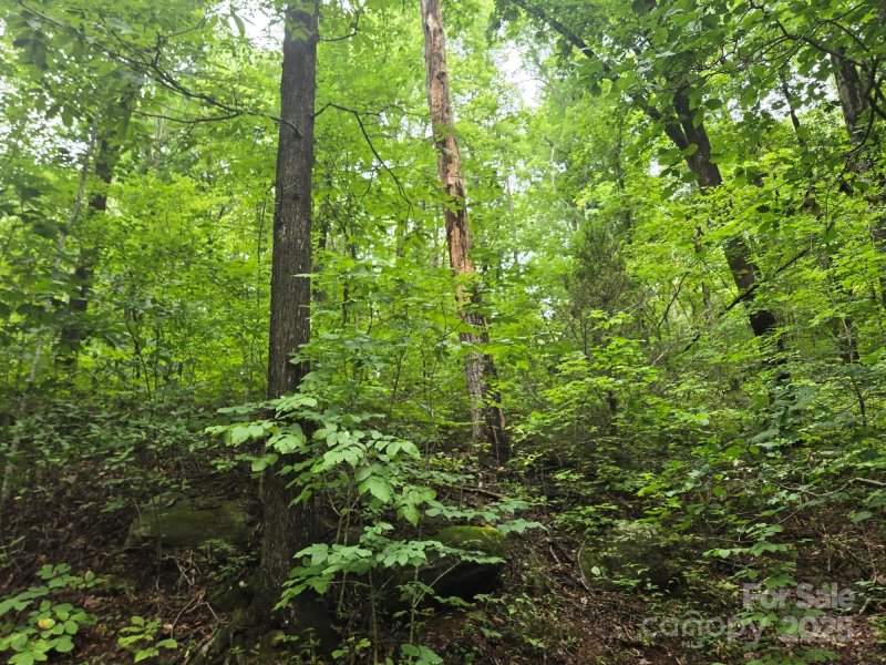 Property image 2 at Lot 11 Eagles Crest Way, Lake Lure, NC 28746