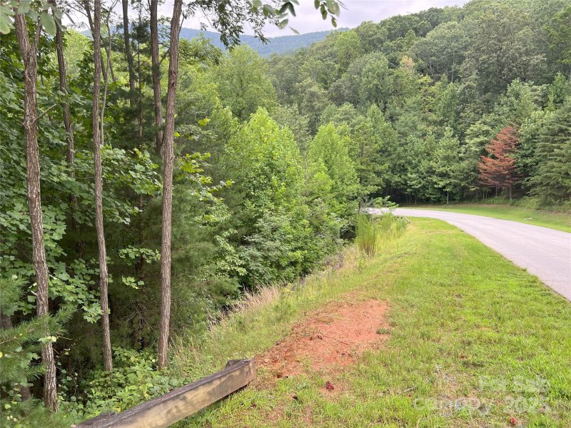 Property image 5 of 00 Deep Gap Road in Brights Creek, Mill Spring, NC 28756